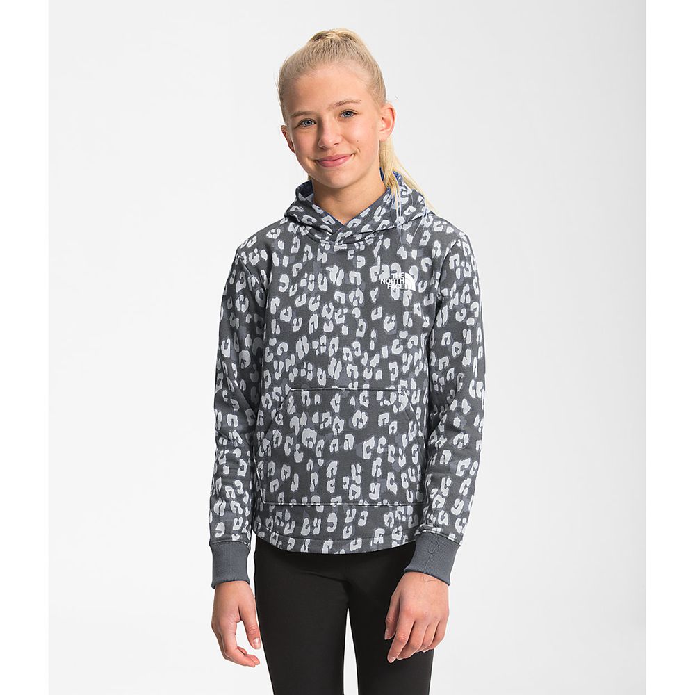 The North Face Hoodie Girls Australia - The North Face Printed Camp Fleece Pullover Grey Leopard (ST